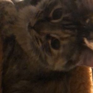 Meet your Posher, Yassmine